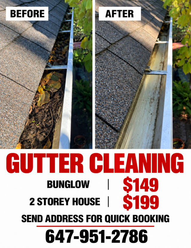 Gutter Cleaning