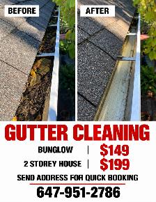 Gutter Cleaning