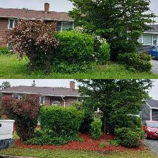 Now booking fall leaf clean ups. - Photo 3