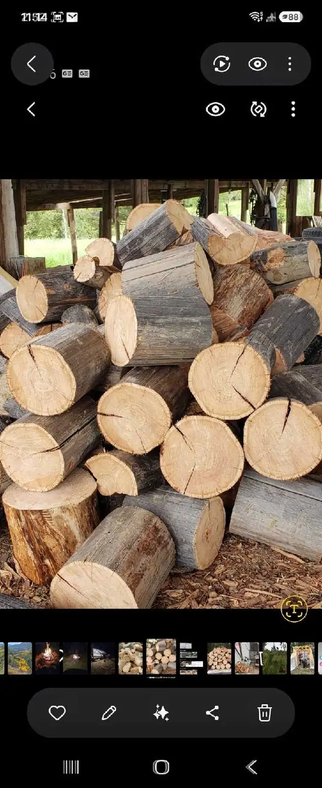 Dry Firewood