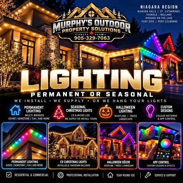 Need help hanging your lights this year ?