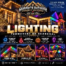 Need help hanging your lights this year ?