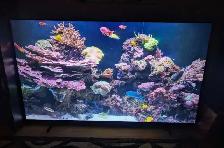98' Samsung UHD TV. - Photo 5
