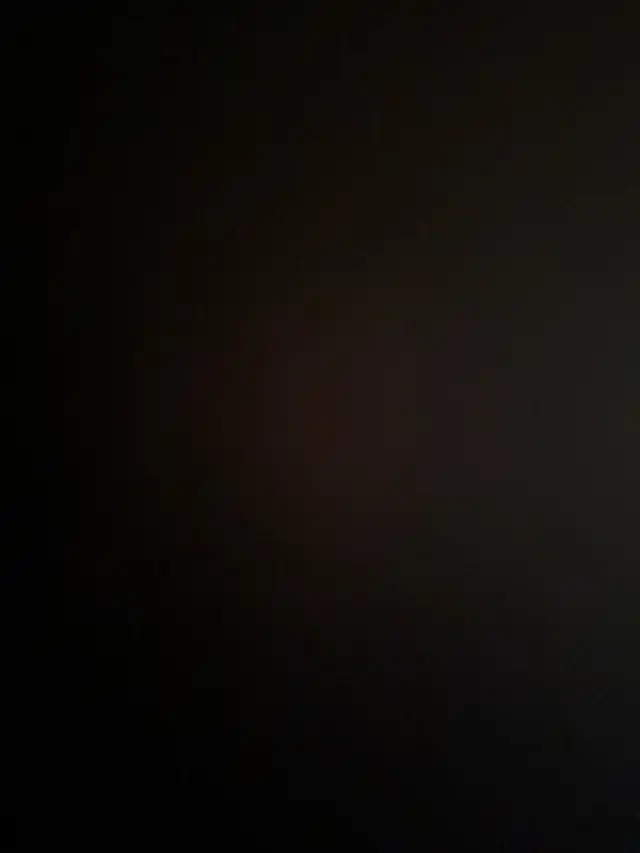 brand new 1 bedroom basement for rent