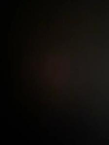 brand new 1 bedroom basement for rent