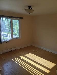 GORGEOUS 3 BEDROOM 2 BATH - ST. BONIFACE - Photo 5