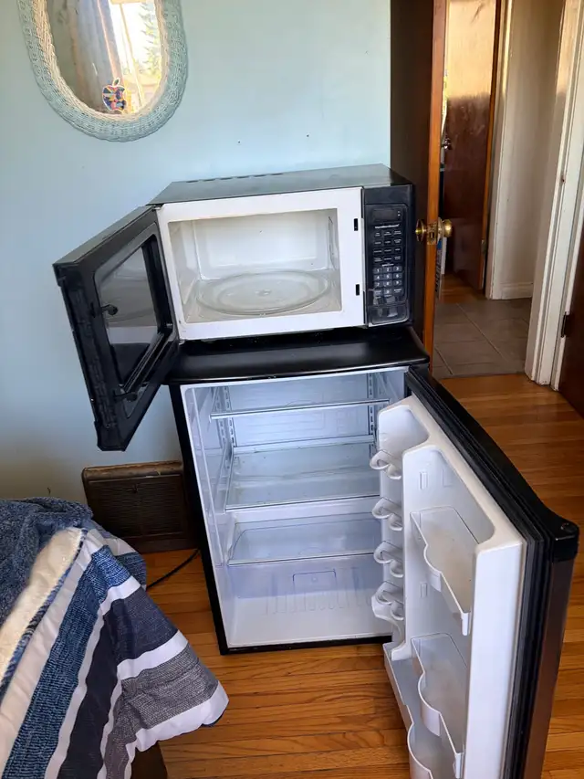 mini fridge maker Danby