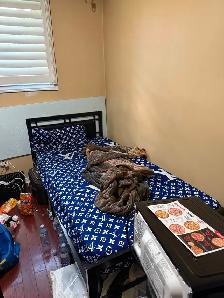 Room for rent