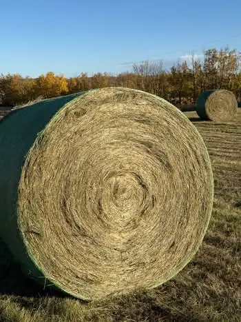 HAY FOR SALE