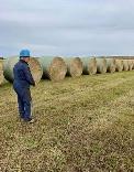 HAY FOR SALE - Photo 2