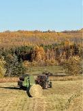 HAY FOR SALE - Photo 3
