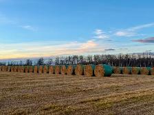 HAY FOR SALE - Photo 5