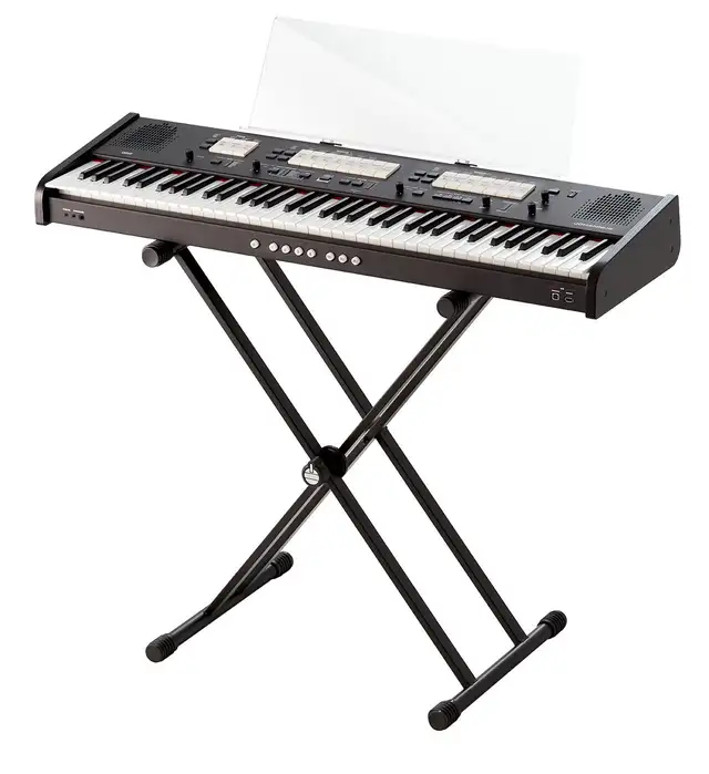 Keyboards organs and more
