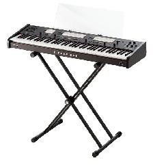 Keyboards organs and more
