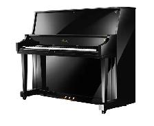 Keyboards organs and more - Photo 6