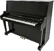 Keyboards organs and more - Photo 7
