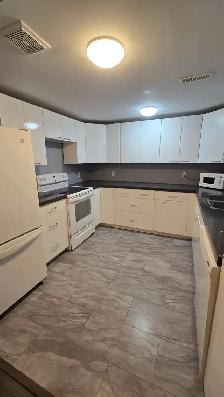 Bright 2 bedroom basement suite - Photo 4