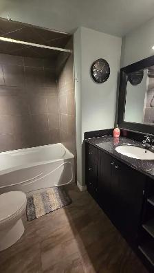 Bright 2 bedroom basement suite - Photo 5