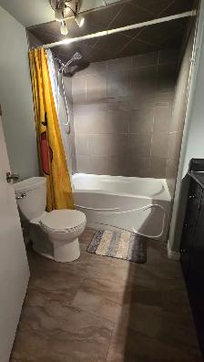 Bright 2 bedroom basement suite - Photo 6