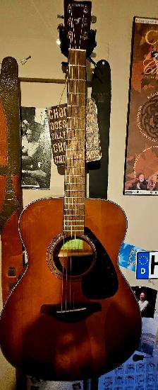 YAMAHA FS 800...with K&K pickup
