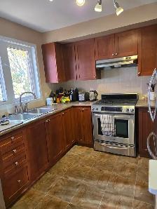 All Inclusive Room in Nepean - CitiPlace - Available Immediately - Photo 3