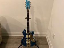 Duesenberg Mike Campbell 30th Anniversary  Guitar