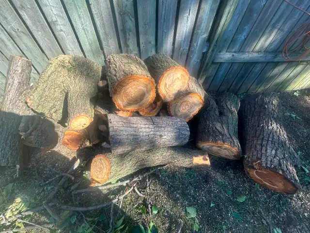 Free wood pick up