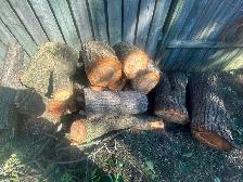 Free wood pick up