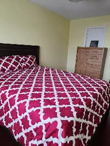 SINGLE  Room Rental - Main floor  - Nov. 1st $ 850 - Malton - Photo 2