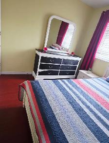 SINGLE  Room Rental - Main floor  - Nov. 1st $ 850 - Malton - Photo 5