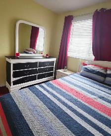 SINGLE  Room Rental - Main floor  - Nov. 1st $ 850 - Malton - Photo 6
