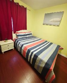 SINGLE  Room Rental - Main floor  - Nov. 1st $ 850 - Malton - Photo 8