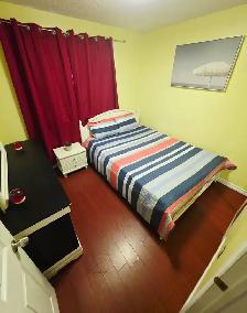 SINGLE  Room Rental - Main floor  - Nov. 1st $ 850 - Malton - Photo 11