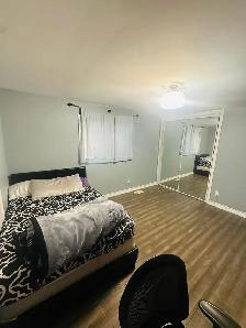 Private room for rent in heartland town centre Mississauga - Photo 3