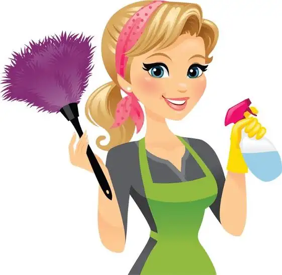 Cleaning Lady Wanted