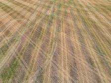 1,403.91 High Quality Acres |  Abernethy, SK - Photo 9