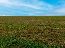 1,403.91 High Quality Acres |  Abernethy, SK - Photo 11