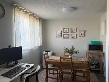 1 Bedroom Apartment in Fergus - Photo 2