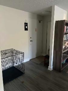 1 Bedroom Apartment in Fergus - Photo 4