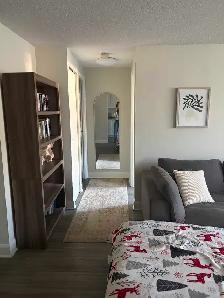 1 Bedroom Apartment in Fergus - Photo 5