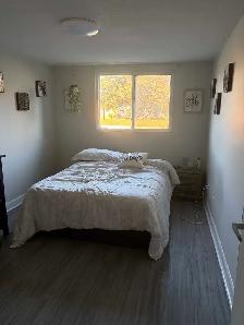 1 Bedroom Apartment in Fergus - Photo 6