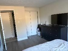 1 Bedroom Apartment in Fergus - Photo 7