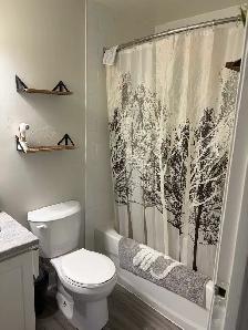 1 Bedroom Apartment in Fergus - Photo 9