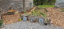 Riverfront House for Rent - Photo 2