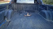 06 GMC 2500 LBZ duramax 4x4 (Crewcab, longbox) w/gooseneck hitch - Photo 3