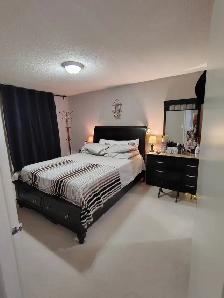 Condo For Rent Etobicoke - Photo 3