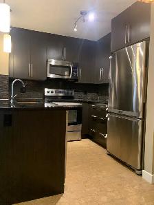 Spacious 2 bedroom 2 bathroom Skyview Condo NE for rent - Photo 3