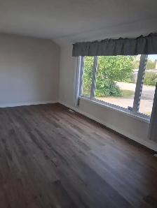 3 bedroom house (short term rent) - Photo 2