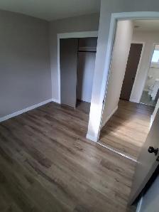 3 bedroom house (short term rent) - Photo 5
