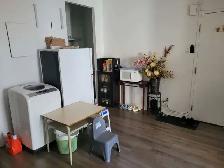 Downtown Sunny Room For Rent, Available Now - Photo 6